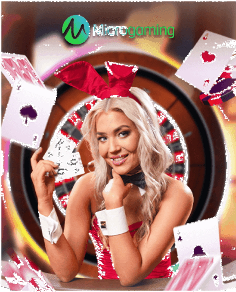 Vinyl Casino Site Mobile Application